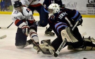 GF Tribune: Americans top Bulls in Game 1