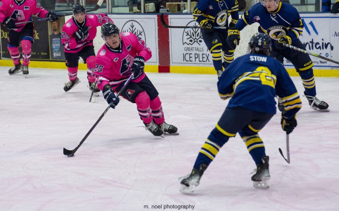 Hawks trip up the Americans, 3-1 on Saturday in Wyoming