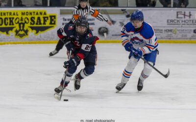 Americans win fifth straight by downing the Sabres, 3-1 to earn a playoff berth