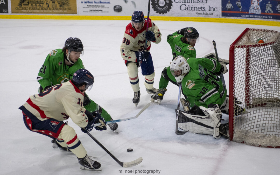 Americans offense shines in 8-3 win over the Irish